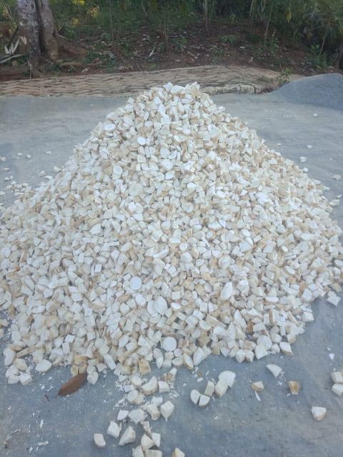 Cassava Chips Ash Content Max 5% Mold Presence No Mold Starch Content Min. 65% Moisture Content Max 14% Crude Fiber Content Max - Image 1