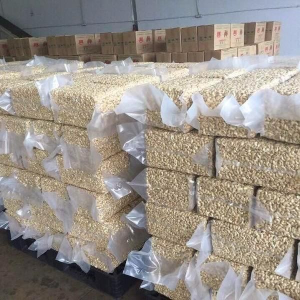 Bulk Organic Raw Cashew Nuts-Premium Quality US Origin Ready Eat Bulk Vacuum Sealed Bags Retailers Seeking Discount Price - Image 4