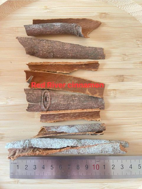 Vietnam Cinnamon - Image 3