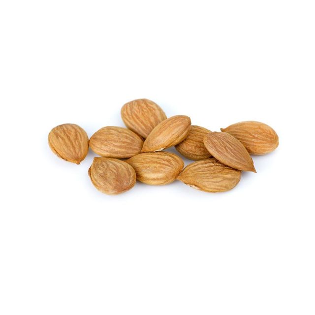 Premium apricot kernels supplied in large quantities at affordable price for exporters - Image 4