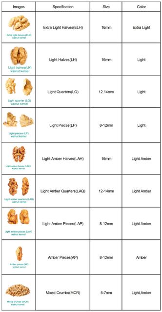 Walnut Kernel - Image 1