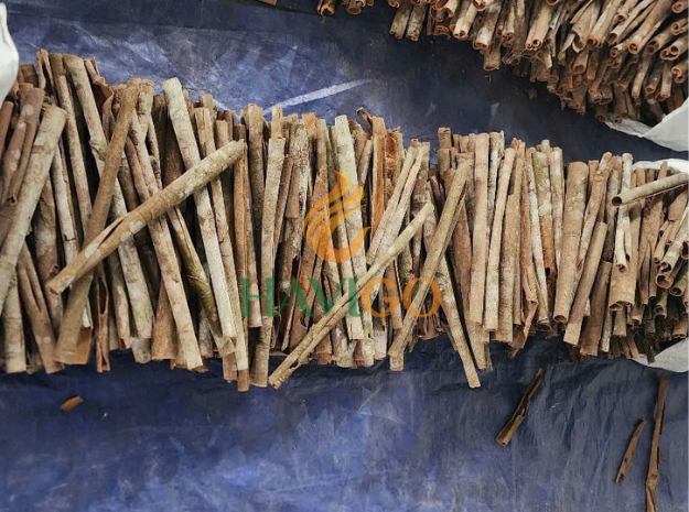 Cassia Cinnamon - Image 5