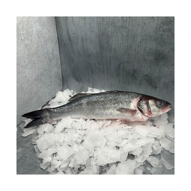 Frozen Sea Bass Fish Carefully Handled Seafood Offering Excellent Moisture Balance And Attractive Market Presentation - Image 4