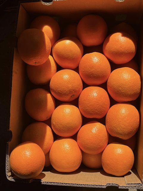 Fresh Navel Seedless Orange for sale - Image 1