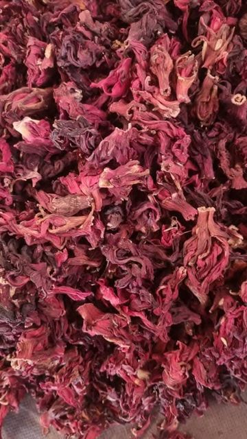 Hibiscus - Image 4