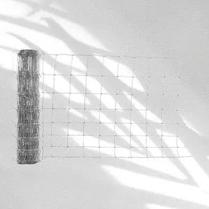 Zinc Coated Chain Link Mesh Fence for Cattle Sheep Paddock and Farm Security - Image 2