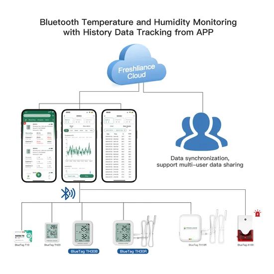 Bluetag Th30b/Th30r Real-Time Monitoring Data Logger Temperature Humidity Instruments Driven for Cold Chain Logistics Solutions - Image 6