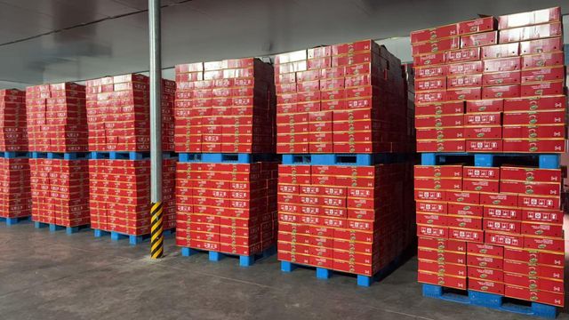 canned tomato paste Color RED Weight (kg) 2200G Shelf Life 2 years Place of Origin china Ingredients tomato paste,salt Specification - Image 3