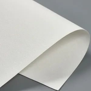 Eco Solvent Printable Embossed Vinyl Wallpaper - Image 5