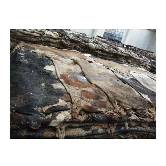 Hot Selling Price of Raw Wet Salted and Dried Cow Leather / Hides / Skins in Bulk Quantity - Image 3