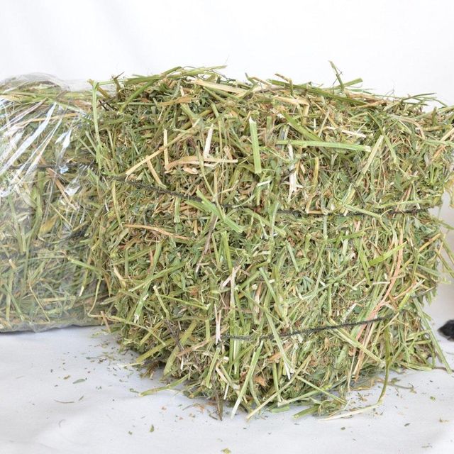 Premium Bulk Timothy Grass for Animal Feed Timothy Grass Fresh Hay Rich in Nutrients Protein and Fiber for Healthy Animals - Image 3