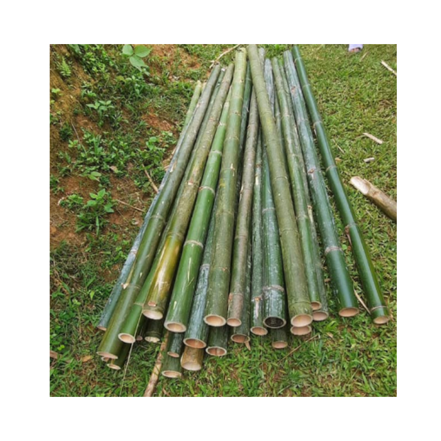 BAMBOO POLE FOR OUTDOOR CONSTRUCTION Packaging Details BUNCH IN PP - Image 3
