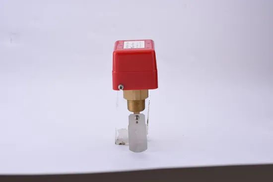 Mini Paddle Flow Switches for Flow Protection Origin Shanghai Media Type Liquid Trademark Yuanben HS Code 9033000000 Model NO. FSP - Image 3