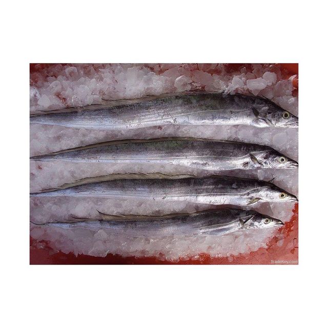Cheap Price Frozen Whole Ribbon Fish Bulk Supply Content Fish Features Lactose-Free - Image 4