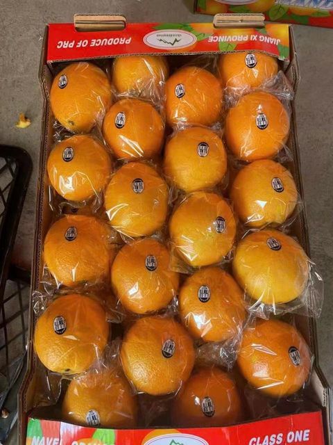 Premium Chinese Fresh Oranges for Export with Superior Sweet Flavor - Image 2