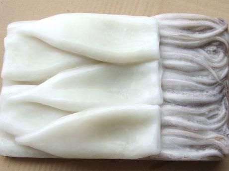 FROZEN SQUID T&T Size 60/up Packaging 800G Shelf Life 2 YEARS Packing Options 15kg Bulk, Custom Pricing Offered Nwnc, Nwfc, Fwnc, Fwfc - Image 2