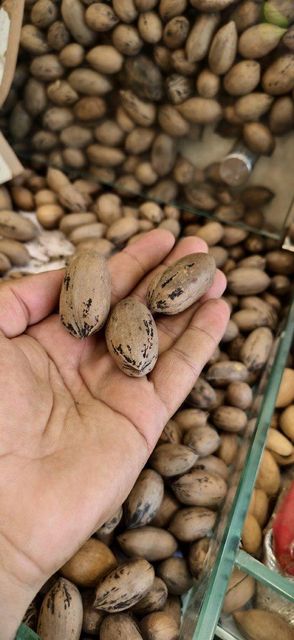 Pecan Nut - Image 3