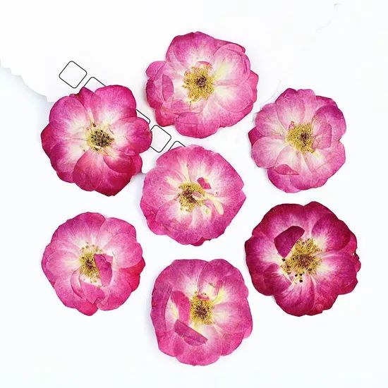 Resin Frame Bookmark Candle Materials DIY Craft Pressed Flower Bubble Rose - Image 1