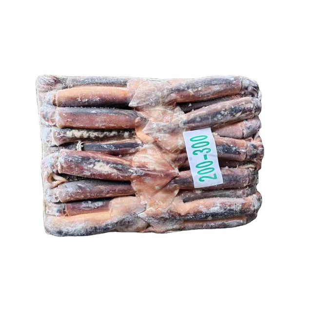 Ocean Harvest Frozen Squid Selected For Retail Packaging Food Processing Facilities And Seafood Distribution - Image 1
