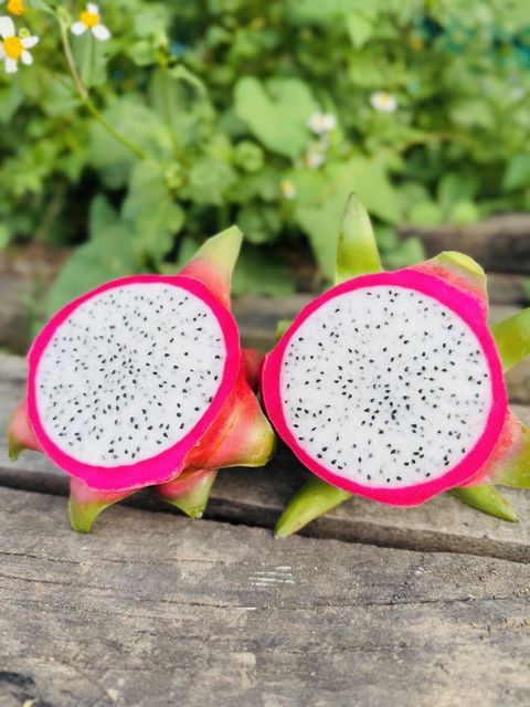 Dragon fruit – product photo 3, product detail gallery
