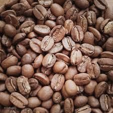 holesale Premium High Quality Raw Coffee Beans Directly From the Farm Grade 100% Arabic Green Coffee Beans - Image 3