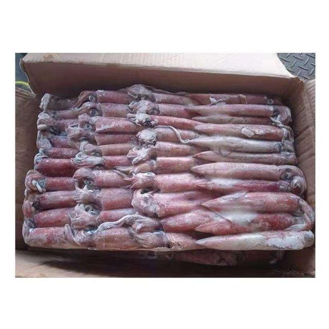 Frozen Calamari Export Quality Seafood Prepared For Bulk Buyer Demand With Natural Taste And Uniform Processing Standards - Image 4