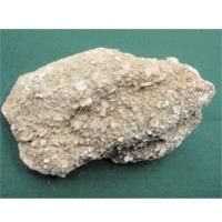 Phosphates And Nitrates - Image 1