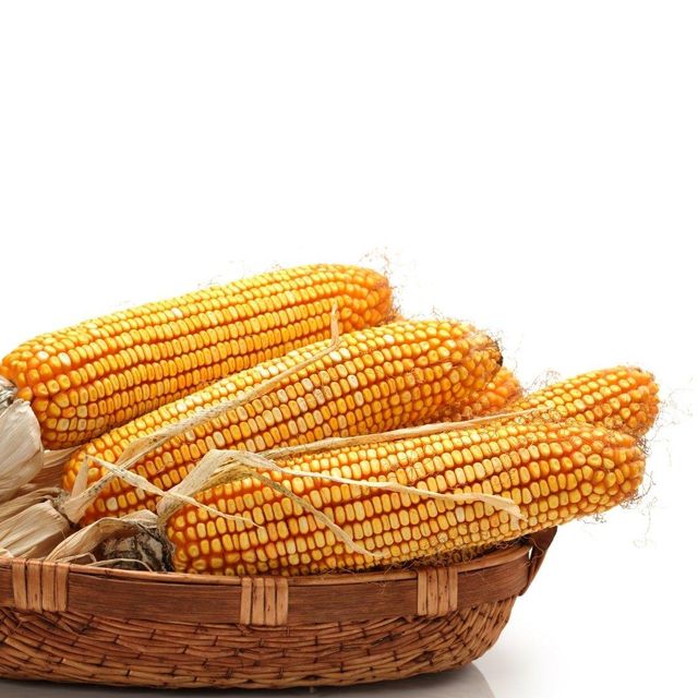 Premium Yellow Kernel Exporter Offering Yellow Maize With Clean Dried Quality For Importers - Image 2
