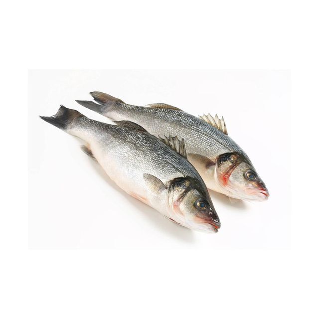 Frozen Sea Bass Fish Deep Chilled Ocean Catch Selected For Uniform Size Appearance And Reliable Cold Storage Handling - Image 1