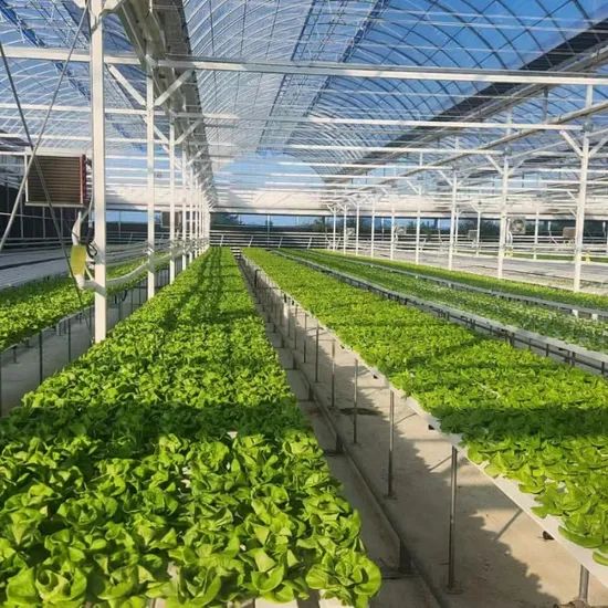China Hydroponics Nft Pipe Accessories Hydroponic Fertilizer Automated Nft Systems - Image 3