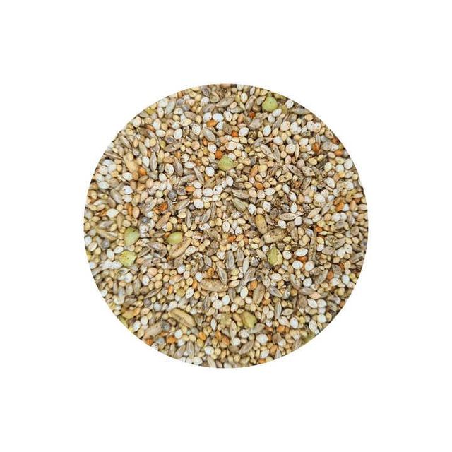 Premium Wholesale Canary Seed for Bird Food – High Purity, Natural, Clean, Nutrient-Rich Canary Seeds for Wild Birds, Pet Birds, Feed Manufacturing, Bulk Supply, Export Quality, Competitive Prices, Custom Packaging, Reliable Global Delivery for Retailers, Distributors, and Agricultural Buyers Worldwide - Image 3