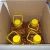 Organic Refined Sunflower Cooking Oil - Image 5