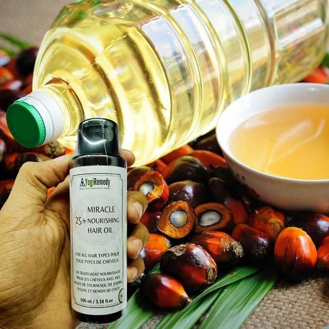 Ready to Export Wholesale REFINED PALM OIL / Red Palm Oil / Crude Palm Oil - Image 3