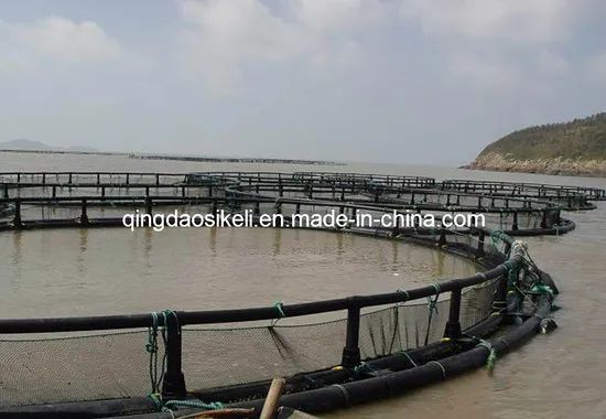 Tuna Net Cage for Mediterranean Fish Farming Frame HDPE Color Black Trademark QH Material HDPE Condition New Warranty 1 - Image 4