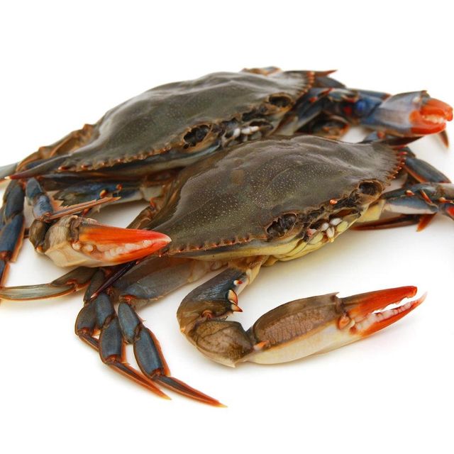 Premium Frozen Crab High Quality Fresh Seafood Vacuum Packed Rich in Protein Ideal for Restaurants and Export - Image 5