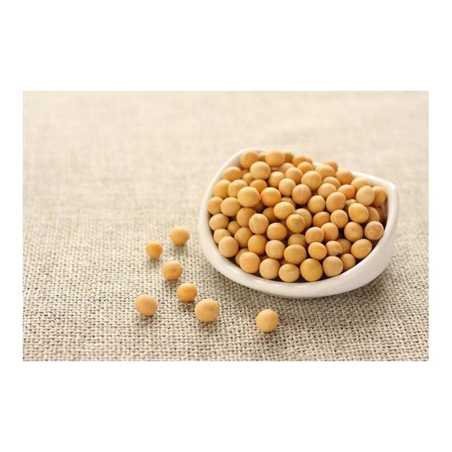 Bulk supply of soybeans ready for sale with premium quality and high protein content - Image 4