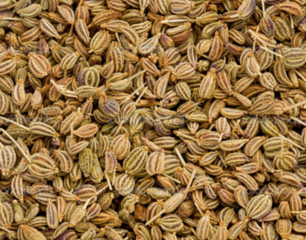 Ajwain - Image 3