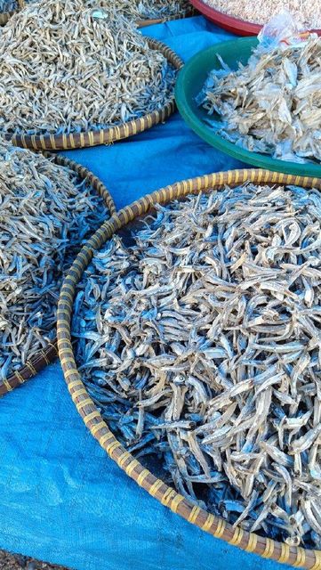 Dried Anchovies VIETNAM Wholesale - Premium Quality Export - Image 3