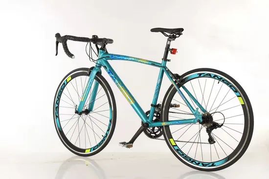 700c Fixie Bike Frame Single Speed Fixed Gear Frame Tracker for Bike - Image 1