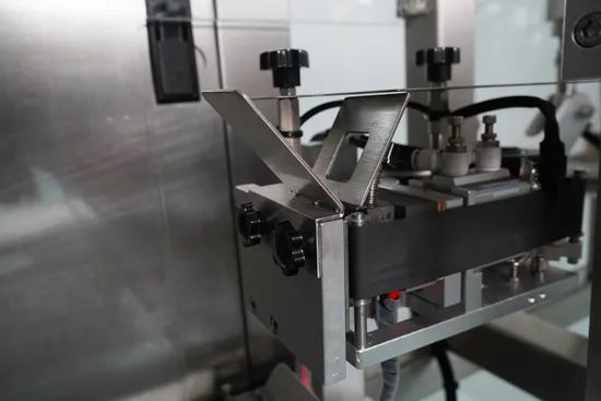 Automatic Horizontal Zipper Bag Beef Jerky Nuts Candy Snacks Doypack Packing Machine - Image 5