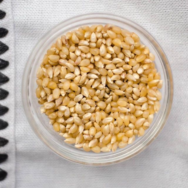 High quality Yellow Corn available for large orders with uniform kernels strong aroma and export ready packing Yellow Corn - Image 3