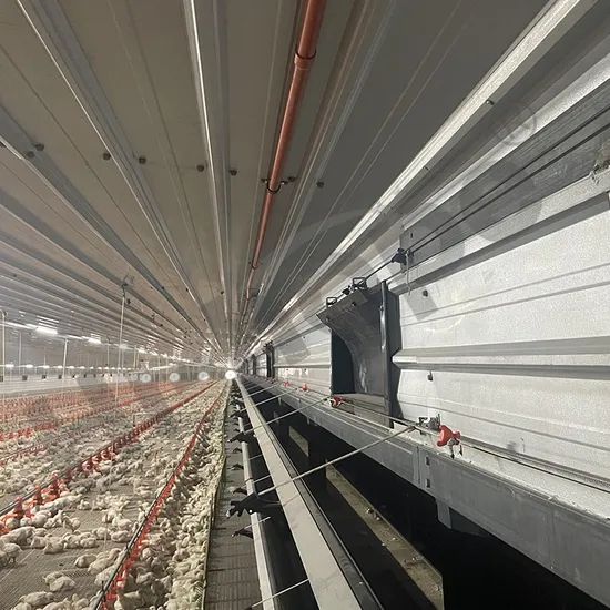 China Made Customizable Broiler Flat Rearing Equipment Offers Reliable Quality Competitive Price and Smart Farming Features for Large-Scale Poultry Farm Plant - Image 1