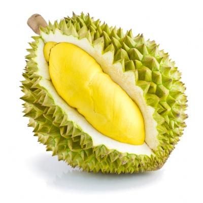 FRESH DURIAN RI6 /FREEZE DRIED DURIAN/DURIAN PASTE Whatsapp +84 845639639 - Image 1