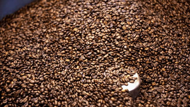 Hot Selling Arabica And Robusta Green Coffee Beans Wholesale coffee green beans with export coffee bean ARABIC/ROBUSTA GREEN - Image 4