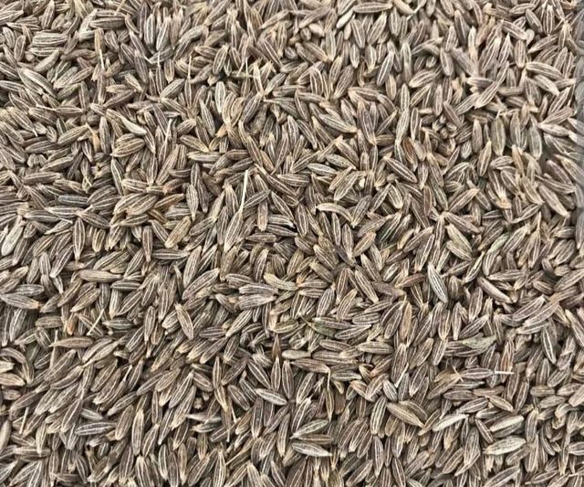 cumin seeds.. - Image 1
