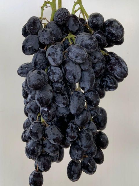 Black Seedless Autumn Royal Grapes CLASS 1 Export Quality from South Africa! NEW CROPS!! - Image 1