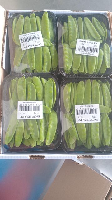Snow pease Origin kenya Packaging Size > 3 kg - 5 kg - Image 3