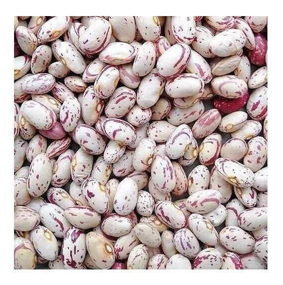 Cheap Price Bulk Stock Light Speckled Sugar Beans | Pinto Beans for Sale in Bulk With Fast Delivery – product photo 5, product detail gallery