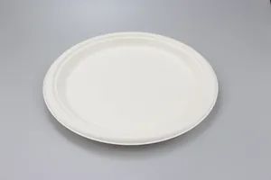 Disposable Bagasse Plate Biodegradable Compostable Sugarcane Tableware Plate - Image 2