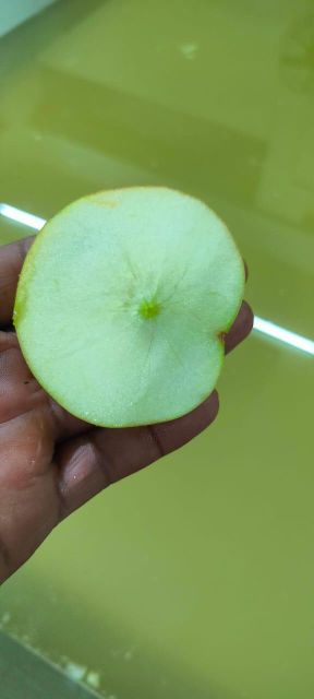 Freeze dried apple Texture Crisp Shelf Life Extended Color Natural Apple Color Flavor Authentic Apple Flavor Purity 100% Natural With No Added Sugar, Preservatives, Or - Image 3